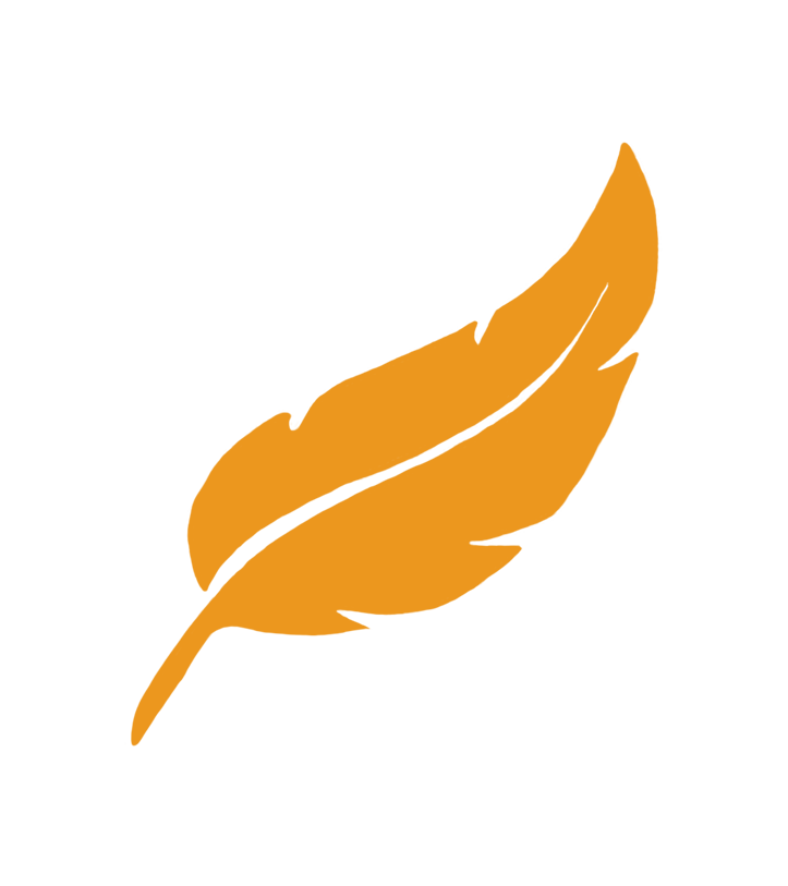 Madaa - Softwarová firma